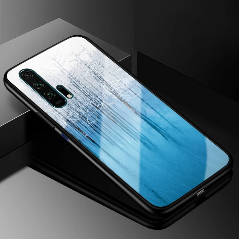 19 Для huawei Nova 5 T чехол Nova5T PC Пластиковый стеклянный чехол для телефона черный ТПУ бампер чехол для huawei Nova 5 T Nova 5 T чехол - Цвет: 19