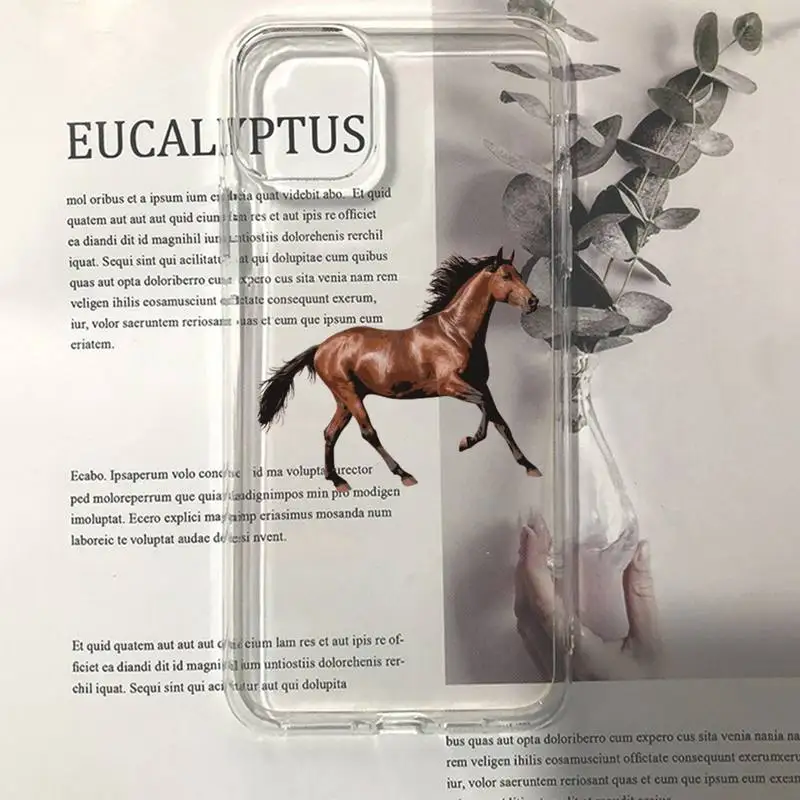 13 case Frederik The Great beauty horse Phone Case for iphone 13 11 12 pro XS MAX 8 7 6 6S Plus X 5S SE 2020 XR case iphone 13 cases