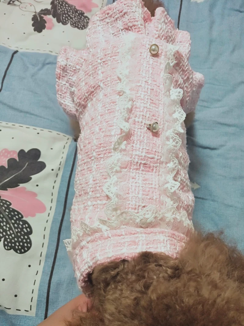 Winter Dog Clothes Wedding Dress Party Dog Clothing Cat Puppy Chihuahua Yorkshire Poodle Bichon Pomeranian Pet Dresses Outfit