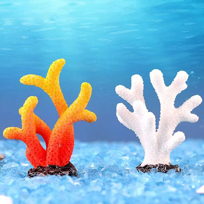 10990941602_235989821