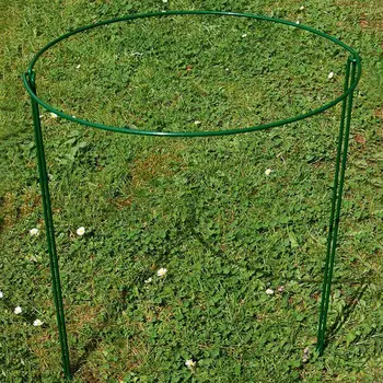

2 Pcs Flower Plant Support Stakes Semi Circular Metal Frame Professional for Garden QP2