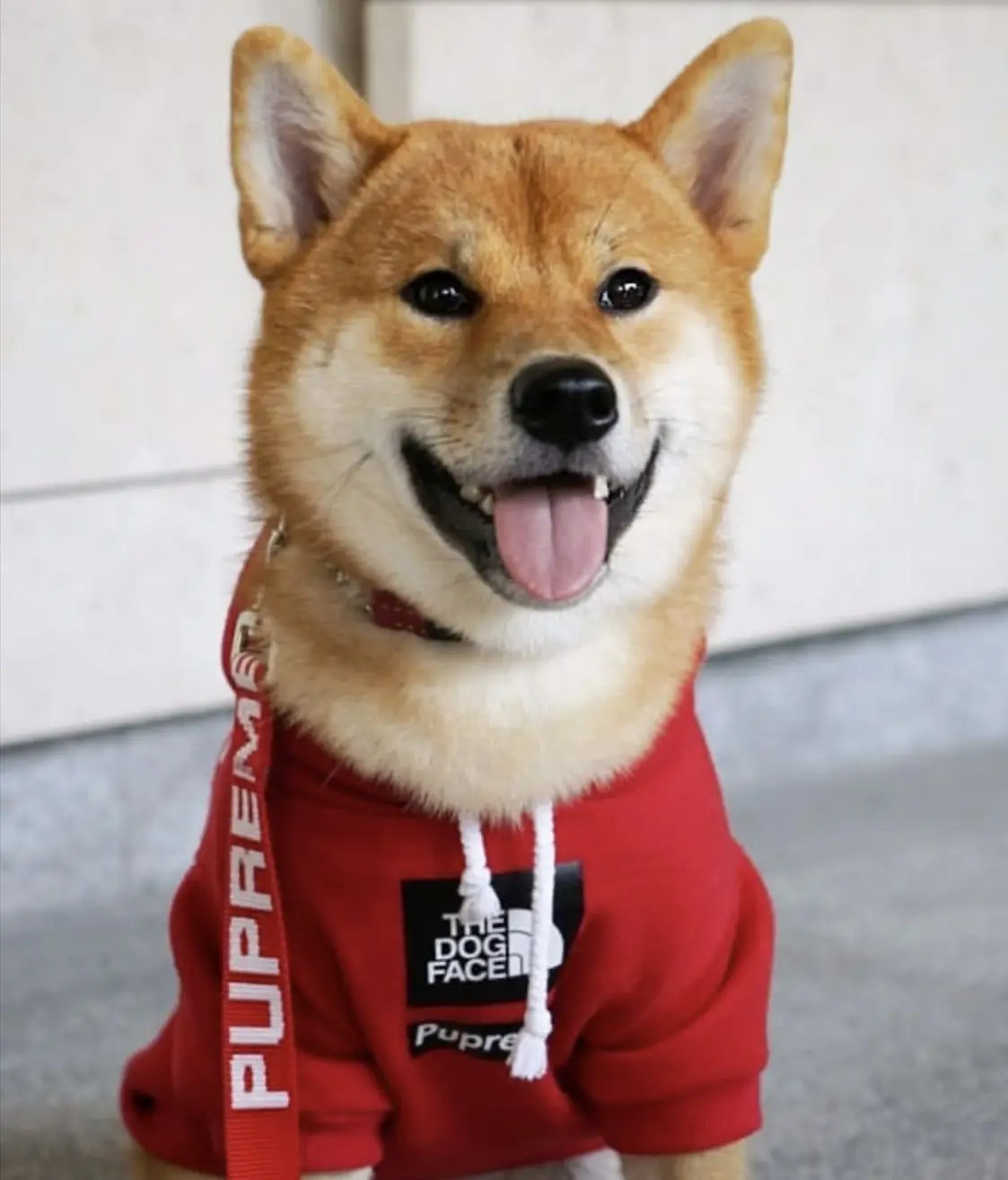Одежда для щенков теплая толстовка Adidog французская одежда для бульдога собака спорт ретро-худи одежда для домашних животных S-XXL