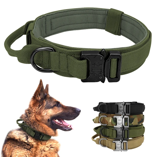 Heavy Duty Dog Collar