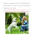 30 мл Pet Dog Spray Inducer Dog Toilet Training Щенок Позиционирование Дефекация Pet Potty Training Spray Эффективное Позиционирование