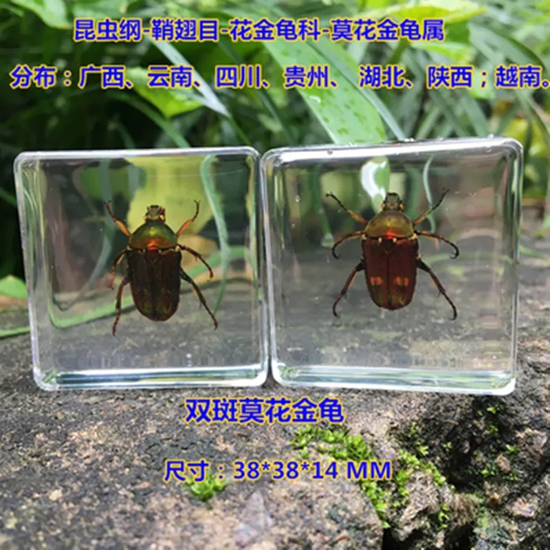 D~GPYHD`ZL(F@Q(DBM5NM}7_副本