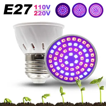 

Full Spectrum LED Grow Light Bulbs E27 110V 220V LED Plant Grow Light Bulb 4W UV Lamp Plant Flower Seedling Fitolamp Phyto Lamp