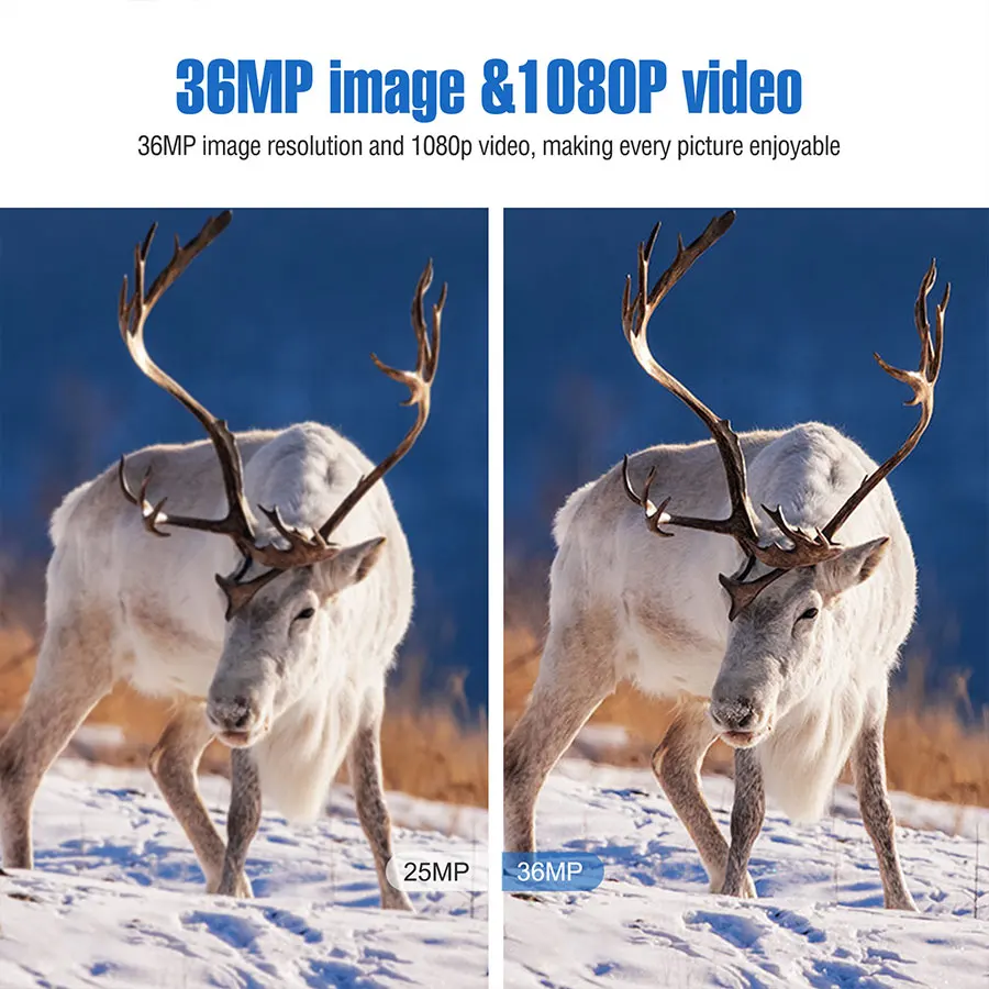 Охотничья камера 4g без свечения ИК Беспроводная gsm передача 36MP 1080P фото ловушка Поддержка 6 В DC Бесплатный облачный сервис сотовая игровая камера