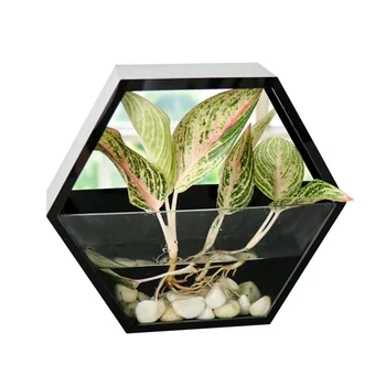 

Wall-mounted Pot Hydroponics Hexagon Flower Pot Wall Hanging Wall Fish Tank Acrylic Simple Craft Home Decoration