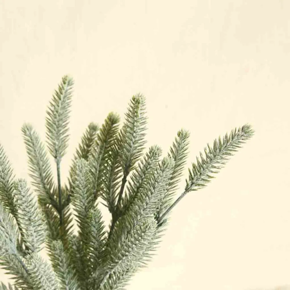 HQJ90531575_0911524495711375252