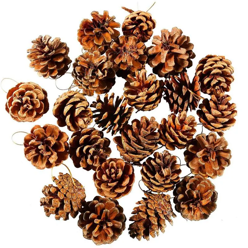 

24 Pieces Pine Cones Ornament Natural PineCones With String Pendant Crafts for Gift Tag Tree Party Hanging Decoration