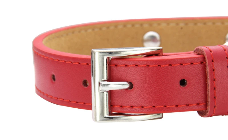 geunine leather dog collar-