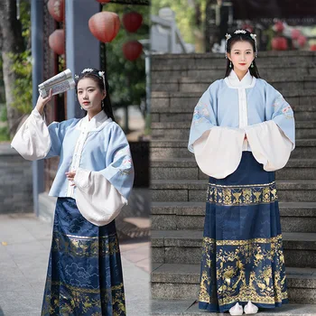 

Women Hanfu Dress Chinese Traditional Embroidery Clothes Ming Dynasty Ancient Blue Elegant Hanfu Classical Dance Costume DQL3096