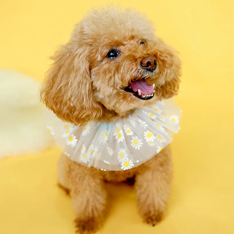 雏菊纱围嘴_0237