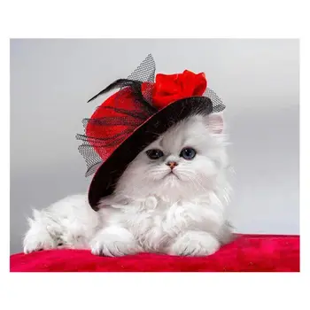 

Paint For Adults and Kids DIY Oil Painting Kits Pre-Printed Canvas Red Hat Cat