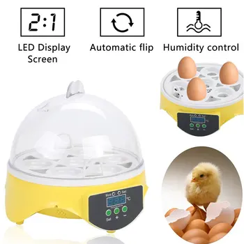 

Eggs Capacity Incubator For Egg Broedmachine Chicken Duck Quail Birds Egg Hatcher Electronic Incubator Tools