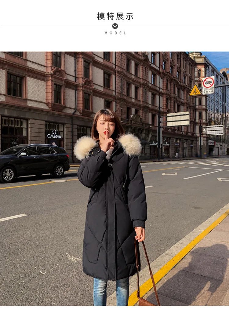 7Copy of copy _01.jpg