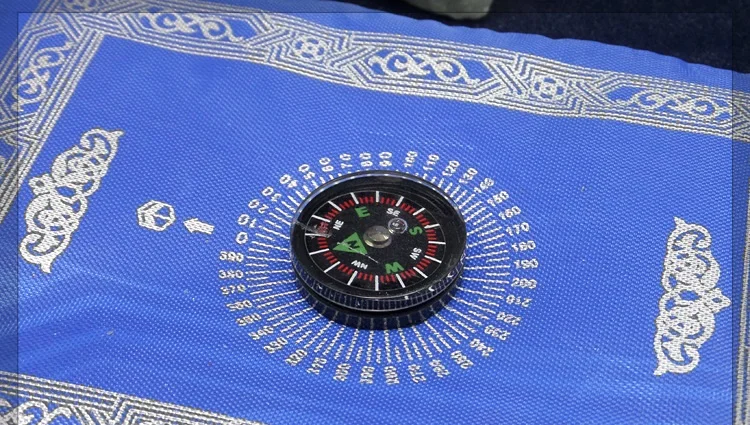 HTB1OoDslRHH8KJjy0Fbq6AqlpXah