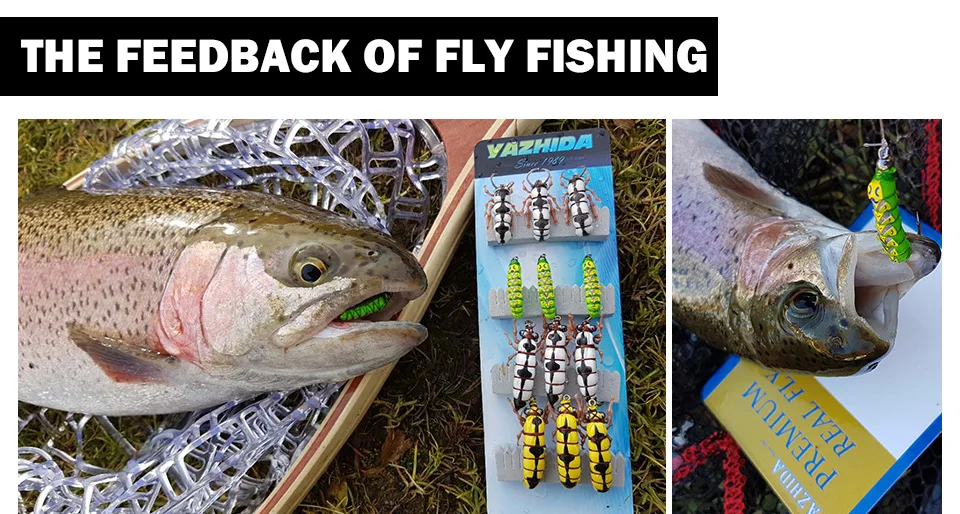 小盒飞蝇包装-组1详情图_07