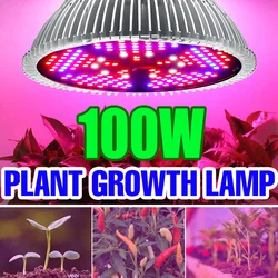 LED Grow Light Bulb E27 Phytolamp Full Spectrum Plant Light 28W 30W 50W 80W 100W LED Hydroponics Lamp Indoor Phyto Grow Lighting