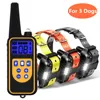 For 3 dogs