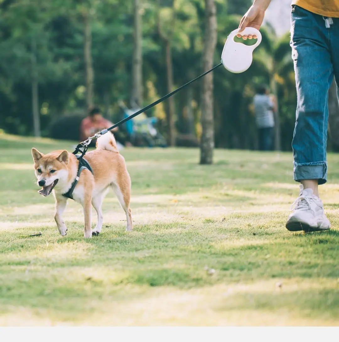 Xiaomi Pet Телескопический тяговый трос гибкий замок безопасности автоматический разматывающийся прочный Xiomi трек веревка для домашних животных 5 м