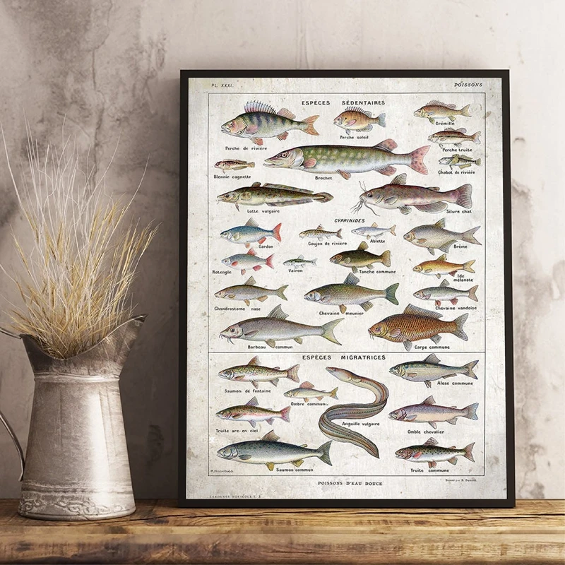 Fish Art Canvas Painting Home Office Wall Decor