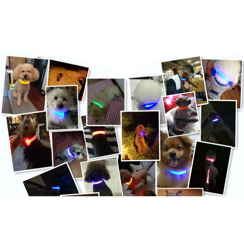 USB Charging Pet Dog Collar Flashing Glowing Light LED Collar Pet Products Adjustable Small Pet Luminous Safety Collar
