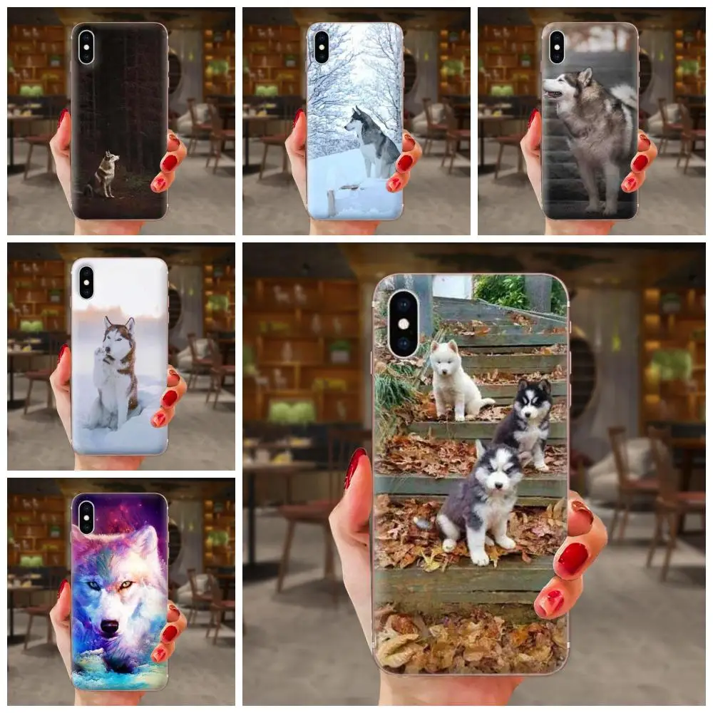 Alaskan Malamute Siberian Husky Dog для sony Xperia Z Z1 Z2 Z3 Z4 Z5 compact Mini M2 M4 M5 T3 E3 E5 XA XA1 XZ Premium|Чехлы-накладки|