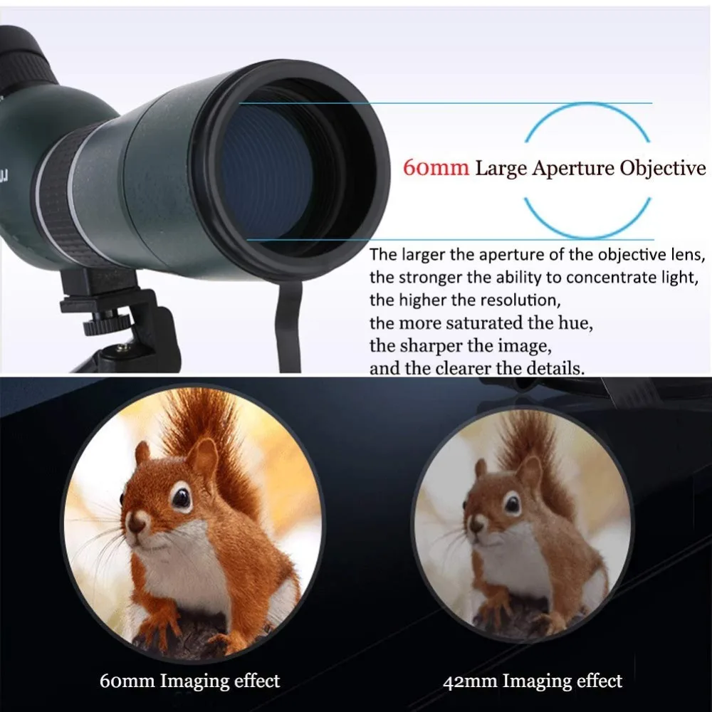 61T%2B9oYsoAL._SL1001_