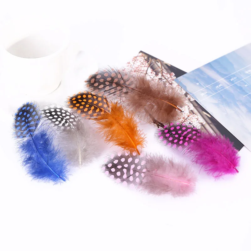 3195034190_1022353483