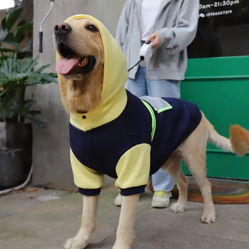 Winter Clothes Labrador Dogs | Clothes Labrador Autumn