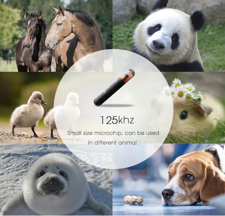 2.12mm-animal-microchip-(6)