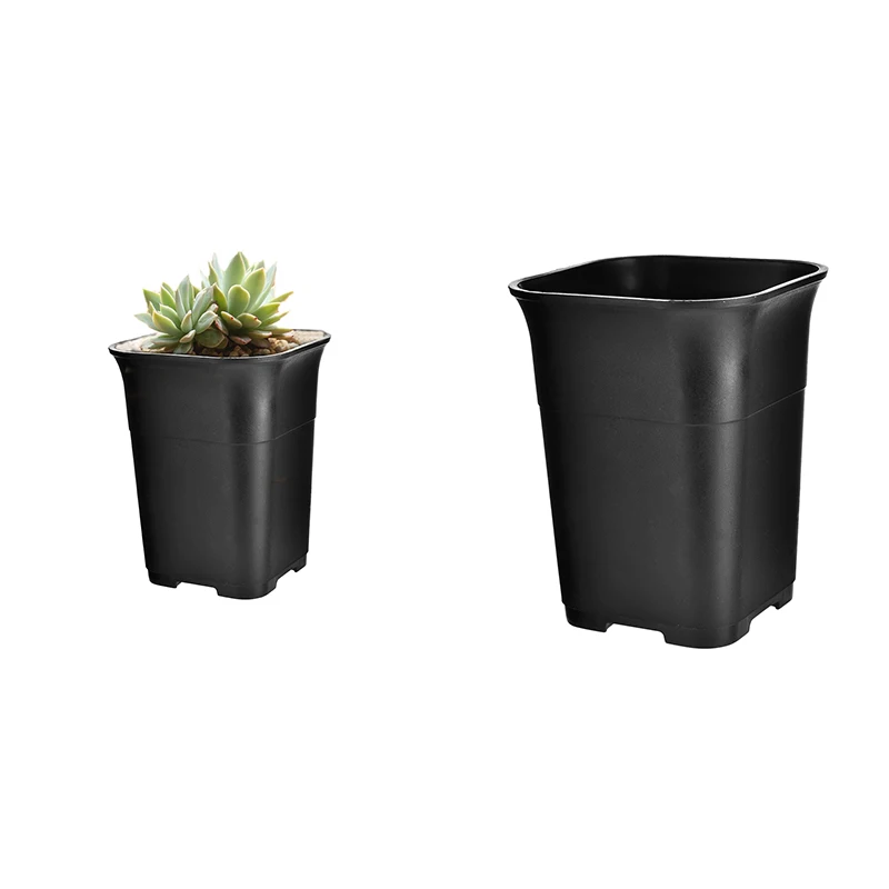 10 Pcs Black Square High Waist Mini Nursery Pot Planter Succulent Plant Pot Small Flower Planters, 5 Pcs M& 5 Pcs S