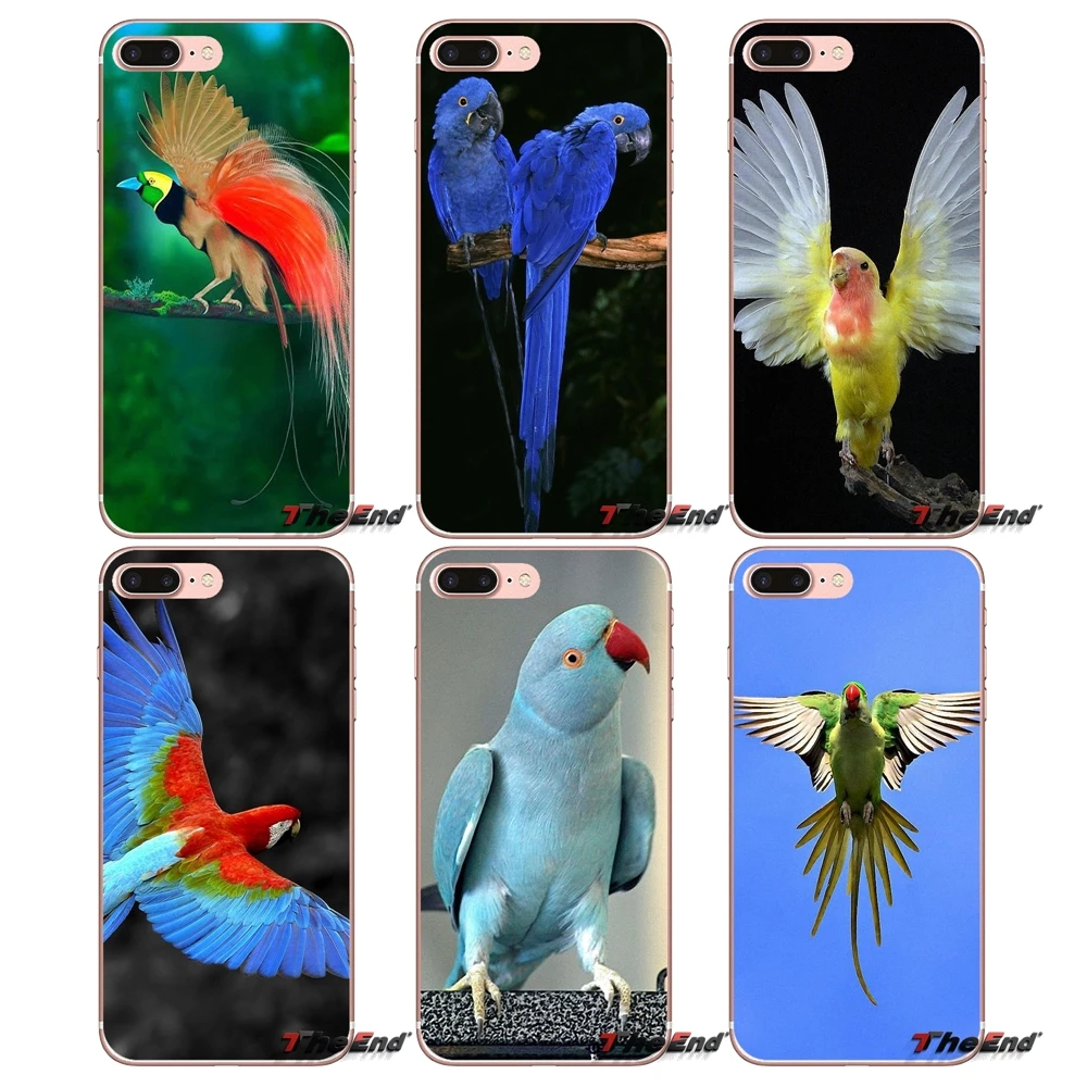 Синий Ringneck попугай прозрачные мягкие чехлы для Apple IPhone X 4 4S 5 5S SE 5C 6 6s 7 8 плюс Plus 6S