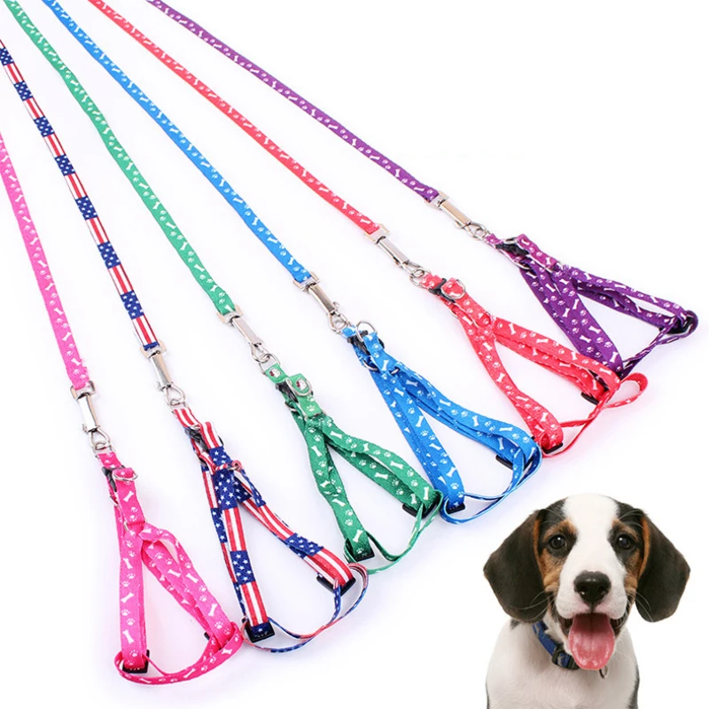 colorful dog leashes