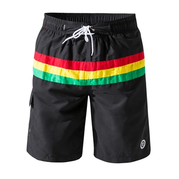 

Summer Home Casual Men's New Striped Printed Beach Shorts Quick-drying Surfing Five-point Pants