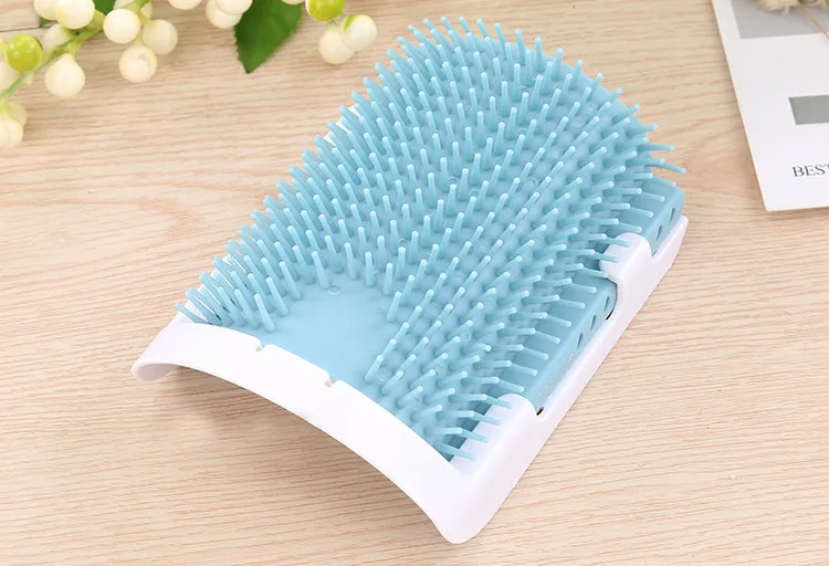 9923407609_649182541