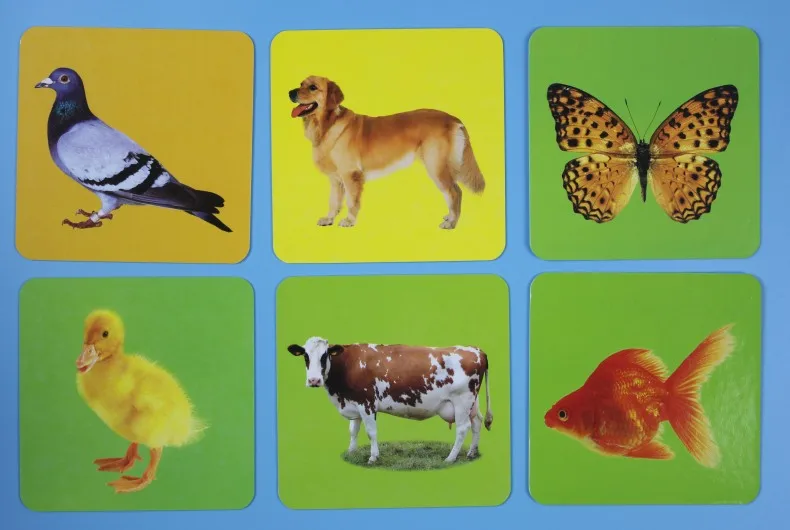 Cartões de Aprendizagem Livro com Pinyin Cartões de Presente para Dois Setschildren Educação Precoce Fruta Vegetal Animal Chinês Inglês Imagens Cartões de Presente para 15 fruta vegetal animal livro com pinyin chinês