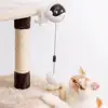 New Electric Cat Toy Funny Cat Teaser Ball Toy Automatic Lifting Spring Rod Yo-Yo Lifting Ball Interactive Puzzle Smart Pet Toys ► Photo 2/6