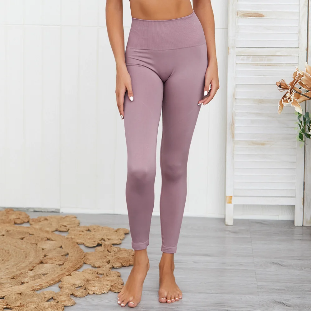 Костюм для йоги нейлоновый спортивный комплект из 2 предметов костюм бесшовный набор для фитнеса одежда для женщин леггинсы для упражнений спортивные бюстгальтеры с вкладышами, ZF276 - Цвет: Lavender leggings