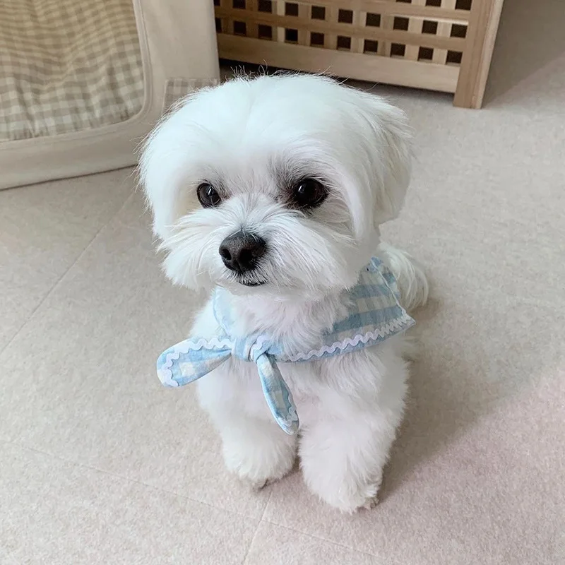 Title 5, Pet Dog Bust Back Shawl Bibs Cat Bowtie Dog Ban...