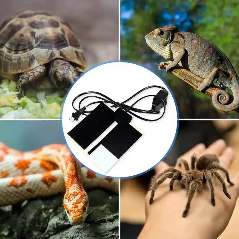 portable reptile heater