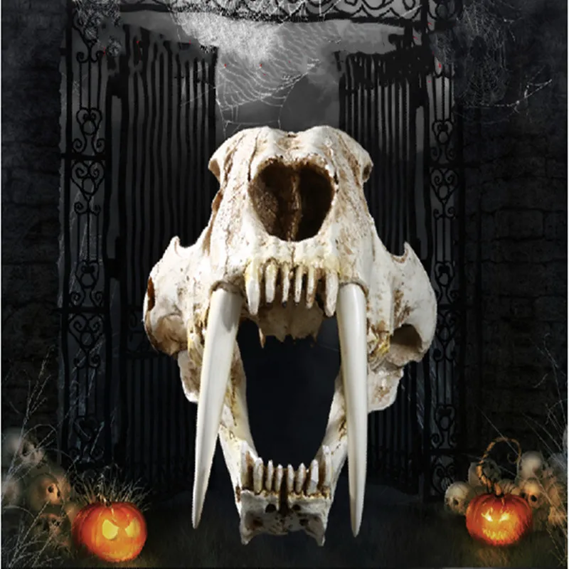 4125695672_1243009114