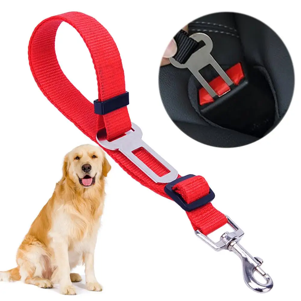 dog belts price