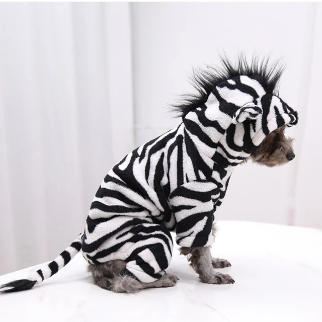 Zebra Dog Costume