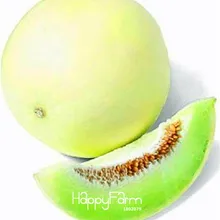 Редкие 50 шт./лот зеленый мякоть мед росы Дыня бонсай мед росы semillas de frutas горшечные растения Жардин* подарок# 5775FX