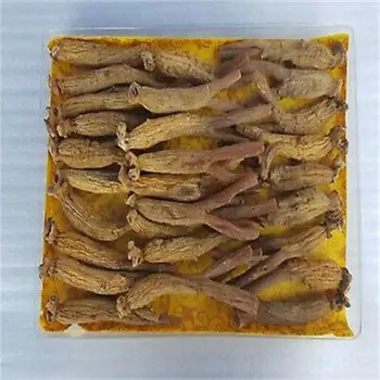 

Korean Red Ginseng Root 6 years 400g (about 30 roots) anti-aging* man's health*