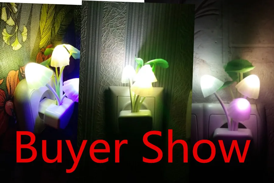 U357a9591701c483a96312263900cbddek_副本