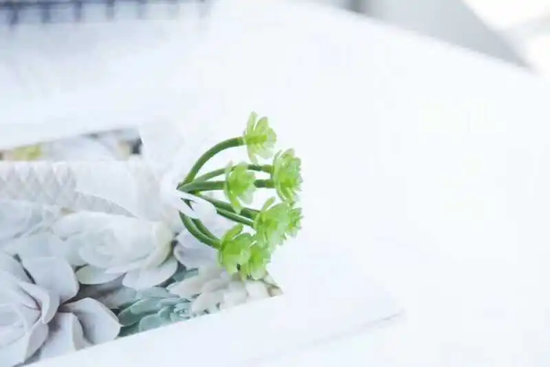 4 шт. мульти-мясо суккулент гелпен Студенческая креативная Мода написание подписи нейтральная ручка свадебное зеленое украшение растение канцелярские принадлежности