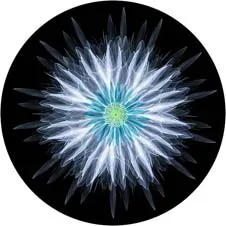 Colour 10 Универсальный держатель для телефона, держатель для руки, расширяющаяся подставка и держатель для пальца, подставка для iPhone 7, 8 X, XS, Xiaomi Redmi - Цвет: Colour 10